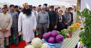 Scientific Farming Initiative by Baba Ram Rahim