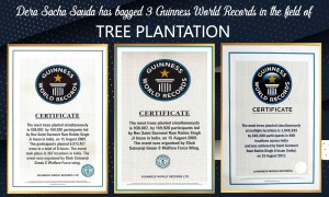 Plantation Drives World Records