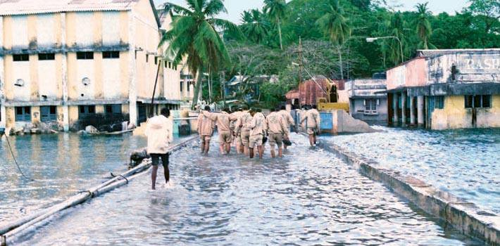 The Giant Tsunami and The Aftermath