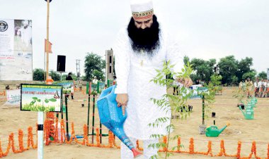 World record in Environmental preservation by Dera Sacha Sauda