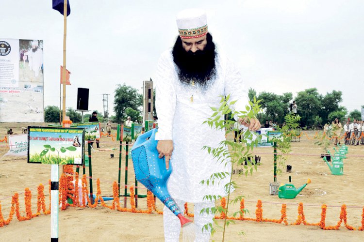 World record in Environmental preservation by Dera Sacha Sauda