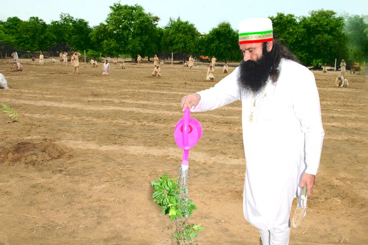 World record in Environmental preservation by Dera Sacha Sauda