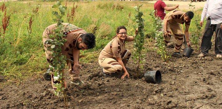 World record in Environmental preservation by Dera Sacha Sauda