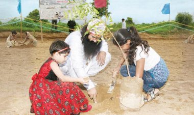 Mega Tree Plantation Drive On 15, August 2011