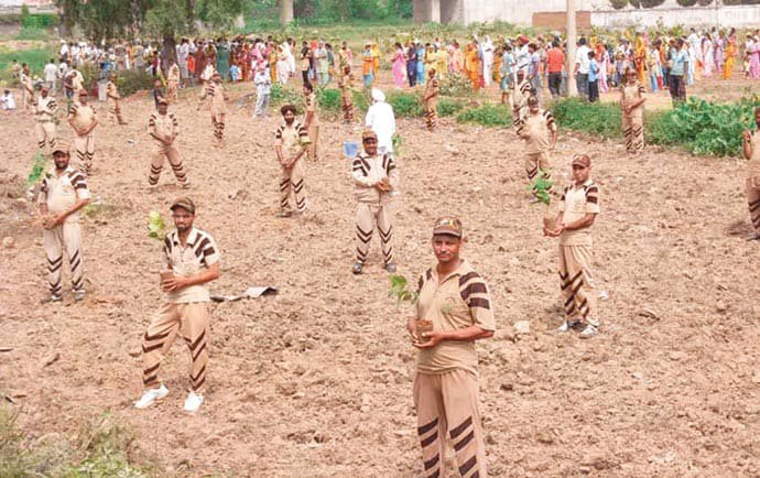 Mega Tree Plantation Drive On 15, August 2011