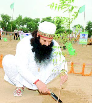 Mega Tree Plantation Drive On 15, August 2012