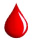A Voluntary Blood Donation Camp on February 23, 2013