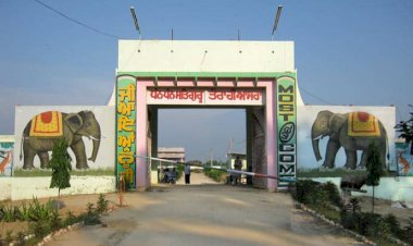 'Shah Satnam Ji Amanpura Dham', Mansa, Distt Mansa, Punjab