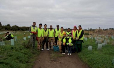 Tree Plantation Drive Conducted at Adelaide, Australia