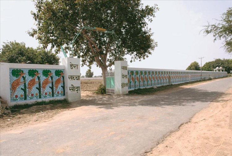 'Dera Sacha Sauda Sadh Bela Dham', Nuhian Wali, Sirsa, Haryana