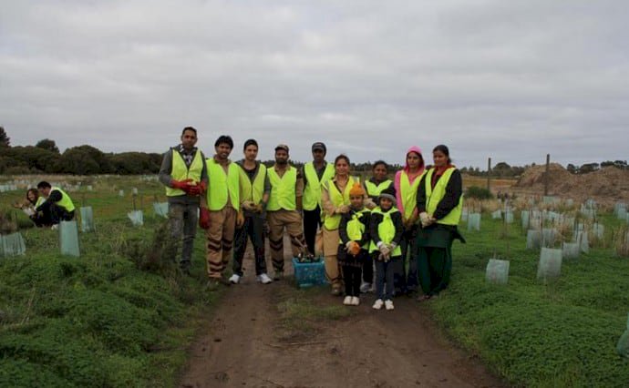 Tree Plantation Drive Conducted at Adelaide, Australia