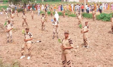 Millions of Plants to be Planted by Dera Sacha Sauda on Independence Day