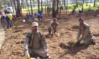 Splendid Efforts of Volunteers in Sydney Towards Nature Campaign