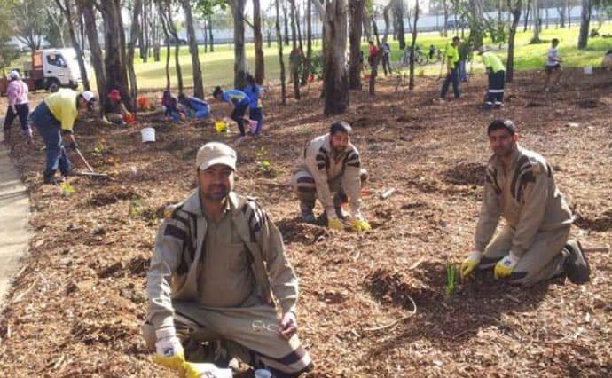 Splendid Efforts of Volunteers in Sydney Towards Nature Campaign