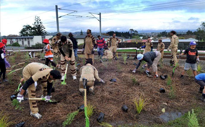 Onset of Auspicious August Marked with Welfare Campaigns in New Zealand