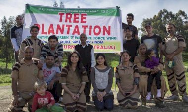 Two Tree Plantation Drives within a Day in Melbourne, Australia.