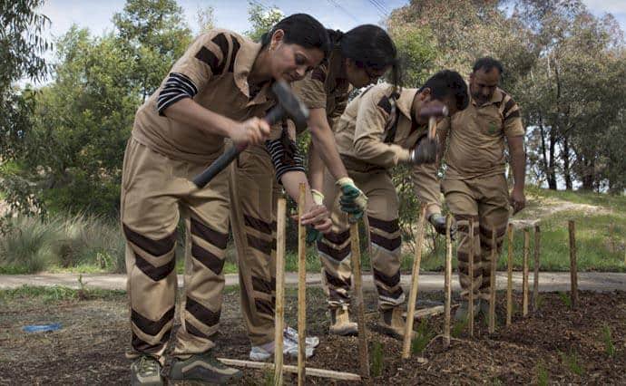 Two Tree Plantation Drives within a Day in Melbourne, Australia.
