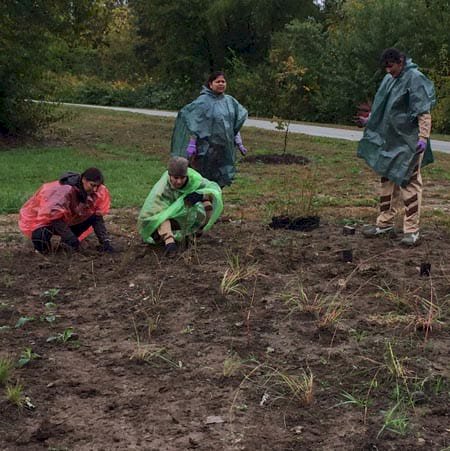 1500 Saplings Planted in a Tree Plantation Camp in Indianapolis, USA