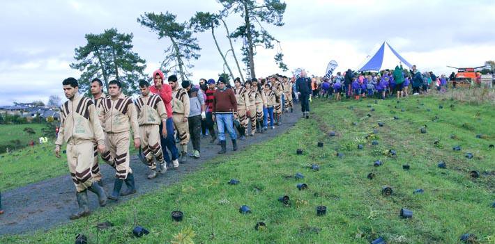 Dera Followers Conducted a Tree Plantation Drive in New Zealand