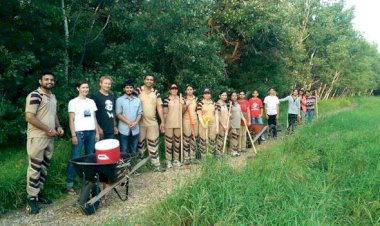 Forest Preservation and Maintenance in Winnipeg by Dera Sacha Sauda