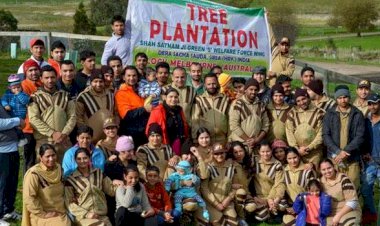 Tree Plantation Drive Successfully Conducted by Dera Followers in Australia