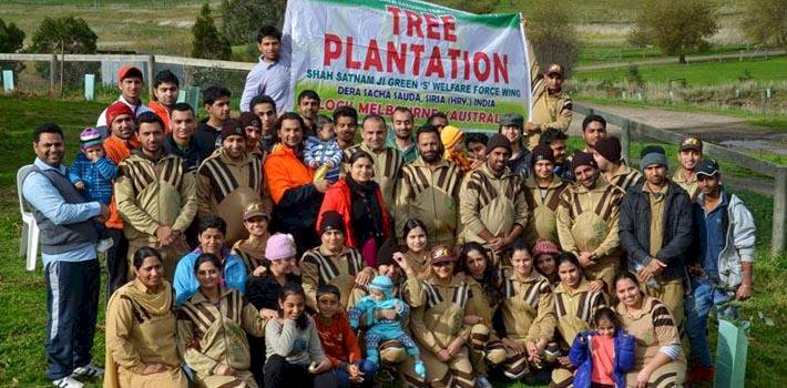 Tree Plantation Drive Successfully Conducted by Dera Followers in Australia