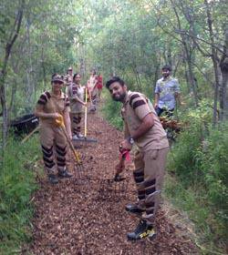 Forest Preservation and Maintenance in Winnipeg by Dera Sacha Sauda