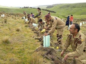 Tree Plantation Drive Successfully Conducted by Dera Followers in Australia