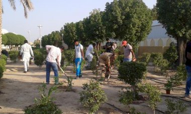 Dera Followers Conducted a Tree Plantation Drive in Kuwait