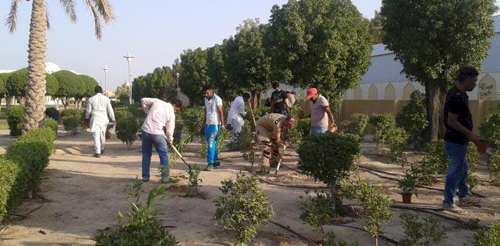 Dera Followers Conducted a Tree Plantation Drive in Kuwait