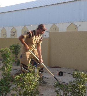 Dera Followers Conducted a Tree Plantation Drive in Kuwait