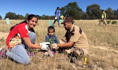 Tree Plantation Drive by Dera Sacha Sauda followers in Sydney, Australia