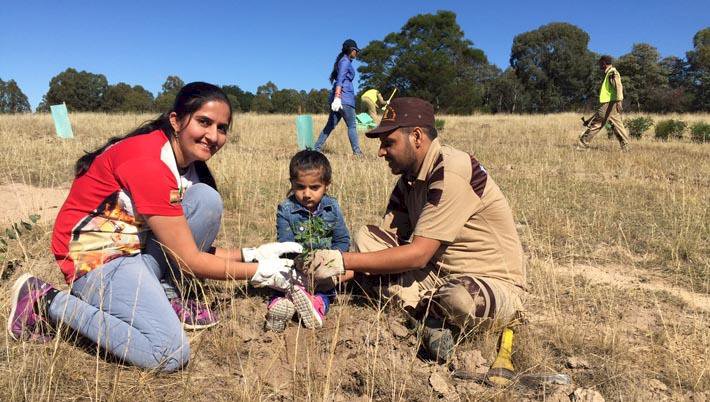 Tree Plantation Drive by Dera Sacha Sauda followers in Sydney, Australia