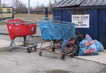 2nd Cleanliness Drive within a Week at Brampton, Canada