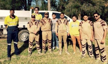 Tree Plantation Drive in Australia