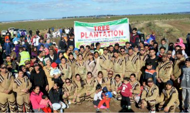 Shah Satnam Ji Green 'S' Welfare Force Wing Volunteers, Australia planted 5000 saplings in Plantation Day Drive