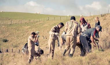 Shah Satnam Ji Green 'S' Welfare Force Wing Volunteers, New Zealand, participated in  Plantation Day