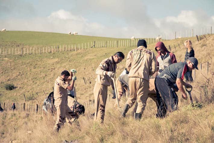 Shah Satnam Ji Green 'S' Welfare Force Wing Volunteers, New Zealand, participated in  Plantation Day