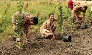 Blood Donation & Tree Plantation Drive in Winnipeg on 15th Aug. 2015