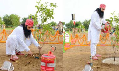 Mega Tree Plantation Drive on 14th August 2016