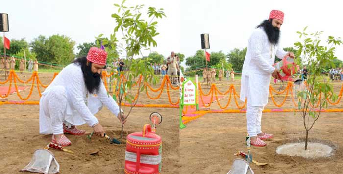 Mega Tree Plantation Drive on 14th August 2016