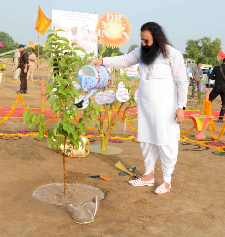 Dera Sacha Sauda leaves no stone unturned, to take care of the Environment,  International Mother Earth Day, Special - Dera Sacha Sauda