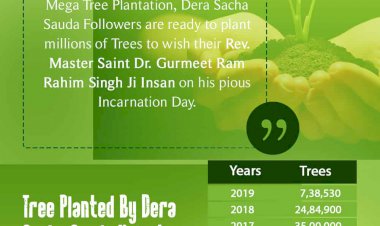 More than 7 lacs Trees planted by Dera Sacha Sauda Followers