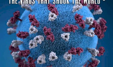 How to Safeguard Yourself Against the Virus that Shook the World - Corona