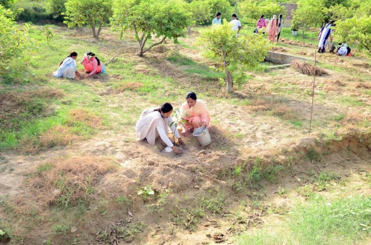 Grand Celebrations of Pious Incarnation Day by Planting More Than 25 Lakh Trees Globally!