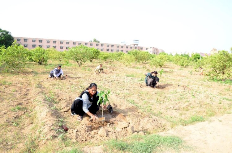 Grand Celebrations of Pious Incarnation Day by Planting More Than 25 Lakh Trees Globally!