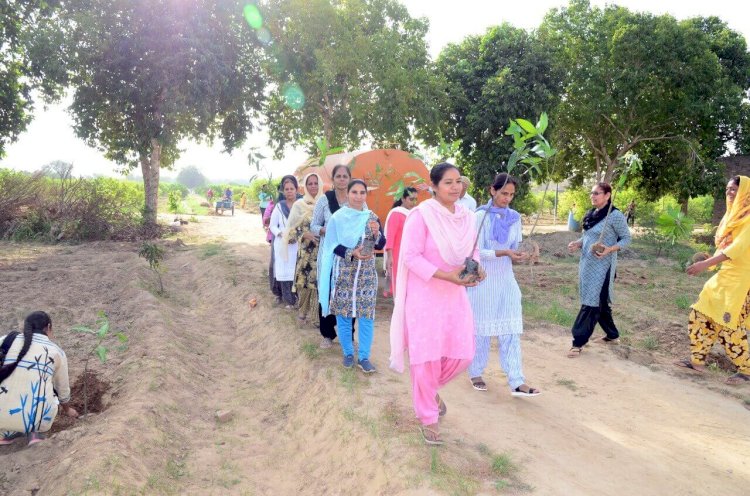 Grand Celebrations of Pious Incarnation Day by Planting More Than 25 Lakh Trees Globally!