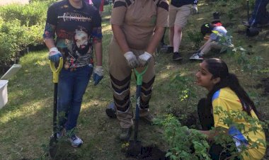 Tree Plantation Drive In North Coogee, Australia