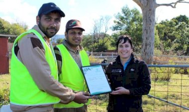 Tree Plantation Campaign Organized in New South Wales, Australia
