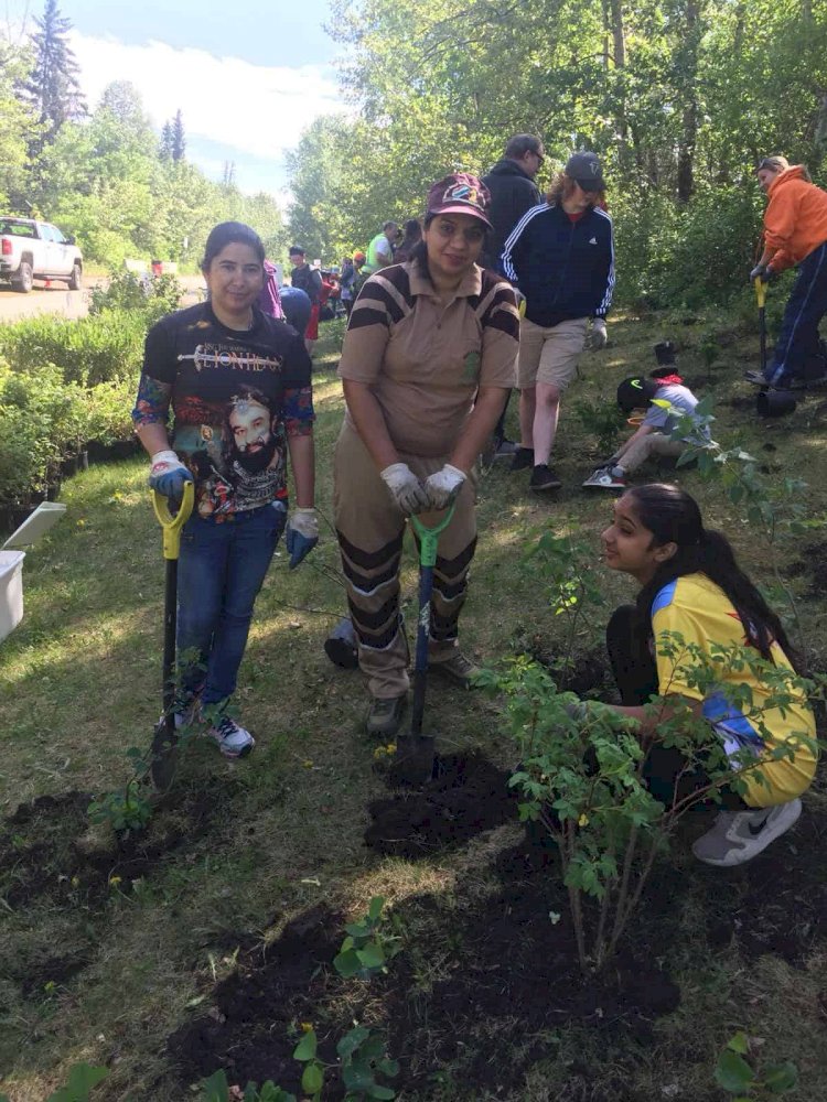 Tree Plantation Drive In North Coogee, Australia